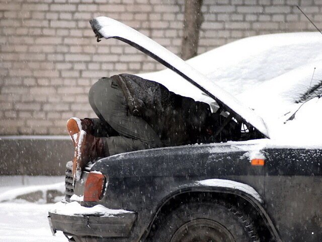 Утренняя подборка прикольных картинок №13 отдых