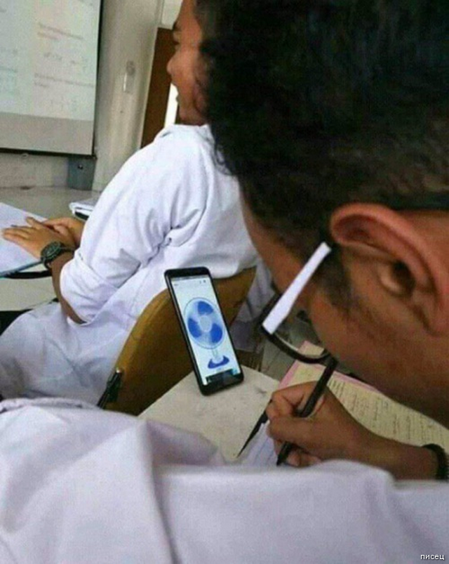 Лето, ах лето, лето звездное будь со мной Лето, ах лето, лето звездное будь со мной позитив,прикольные картинки,юмор