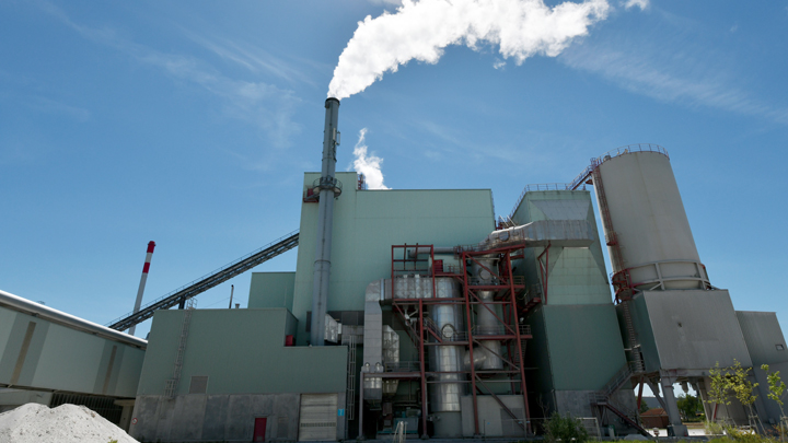 За вывоз мусора стали платить больше в несколько раз: Почему проваливается очередная реформа За вывоз мусора стали платить больше в несколько раз: Почему проваливается очередная реформа россия