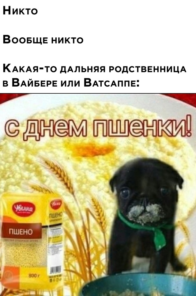 Подборка картинок. Вечерний выпуск Подборка картинок. Вечерний выпуск приколы,смешные картинки,юмор