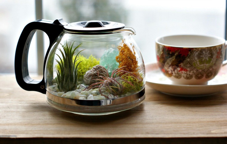 Миниатюрный сад на окошке интерьер,миниатюрный сад,своими руками