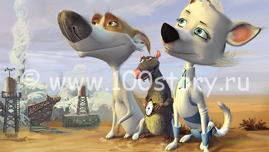 Что собаки думают о людях