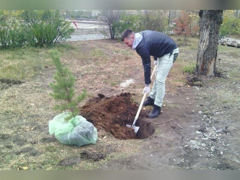 Народный фронт: Проекты благоустройства и озеленения Читы должны оценивать общественники