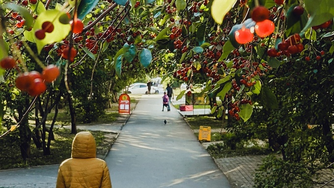 Осень в Барнауле / Фото: amic.ru                  