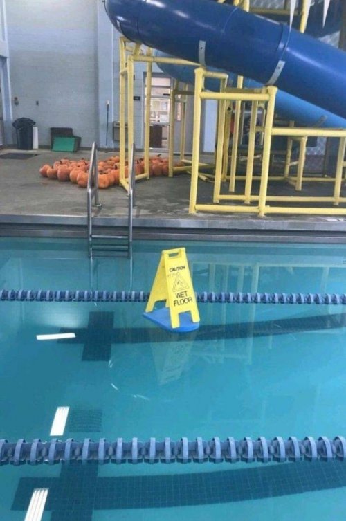 Что здесь происходит?!  смешные картинки