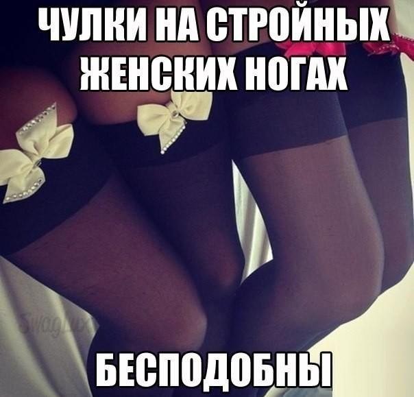 Раскладушки скрапбукинг, картинки смешные пошлы надписи