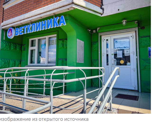 Кот для забот Кот для забот Петрович, Петровича, Степанида, пенсионер, ничего, квартире, както, когда, больше, переноски, Петровичу, совсем, потом, опять, давно, минут, совершенно, только, через, недели