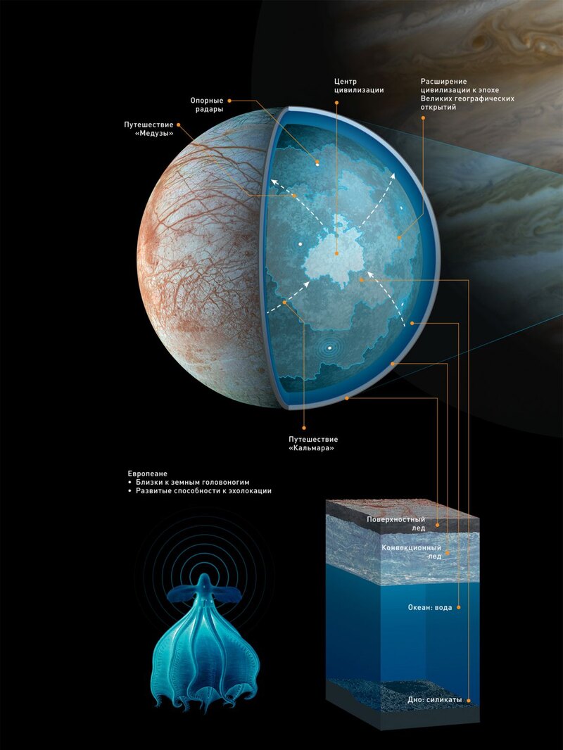 Ученые рассказали, как может выглядеть подводная жизнь на спутнике Юпитера Культура