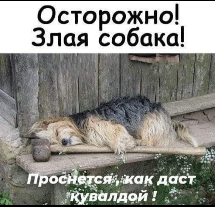 Урок русского языка. Дети пишут сочинение о своих родителях... Урок русского языка. Дети пишут сочинение о своих родителях... Весёлые,прикольные и забавные фотки и картинки,А так же анекдоты и приятное общение