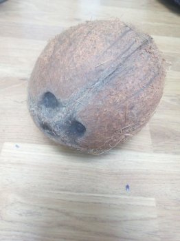 Ваза из кокоса своими руками
