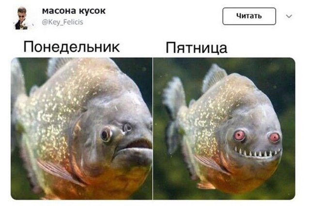 Фотоподборка субботы - 23 Февраля 2019 Фотоподборка субботы - 23 Февраля 2019