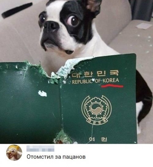 Суперприкольные картинки Суперприкольные картинки