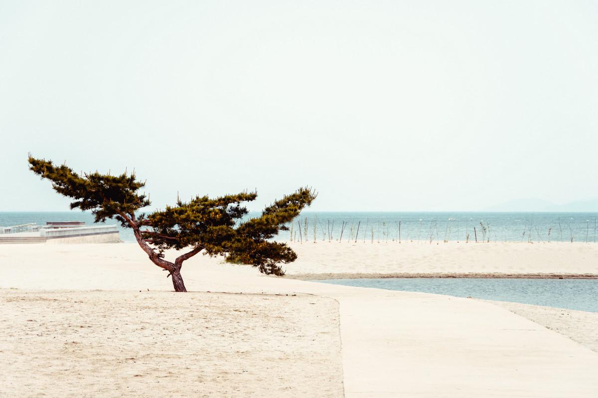 «Чосон» Дениса Давыденко: объективная нереальность из Северной Кореи «Чосон» Дениса Давыденко: объективная нереальность из Северной Кореи