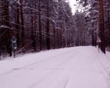 Высадил её в лесу и уехал со спокойной душой 