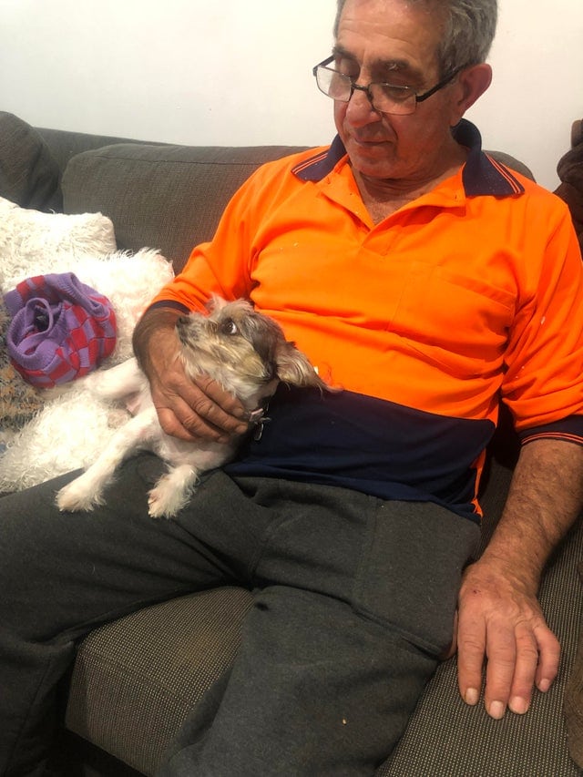 мужчина с собакой