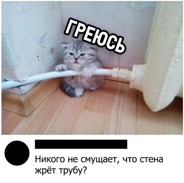 Простой юмор с просторов сети Простой юмор с просторов сети