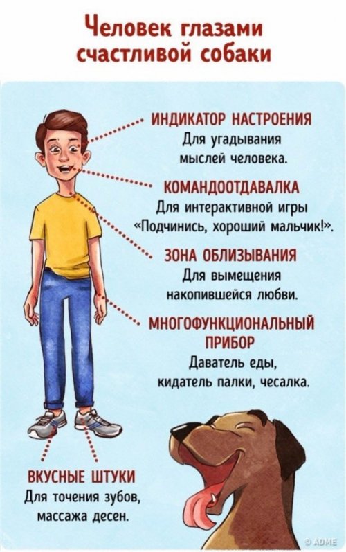 Человек глазами животных (9 фото)