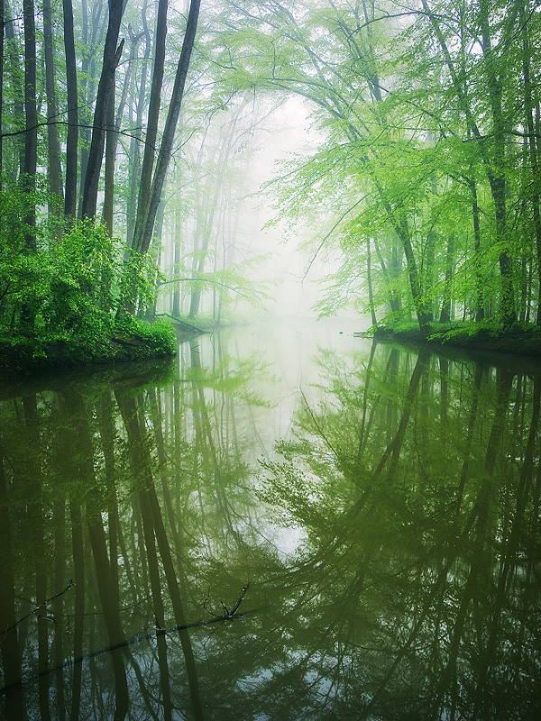 Фотография Temple of Spring автор Jan Bainar на 500px