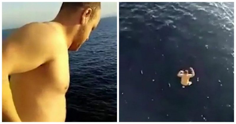 Храбрый моряк прыгнул с 12-метровой палубы в воду, чтобы спасти запутавшегося в сетях детёныша кита видео, животные, моряк, спасение