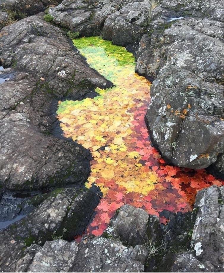 30 снимков, которые которые порадуют вашего внутреннего перфекциониста 