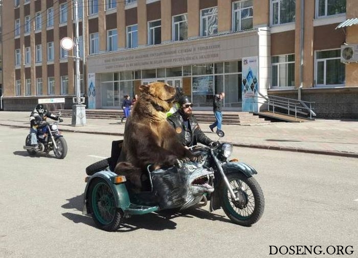Прикольные картинки
