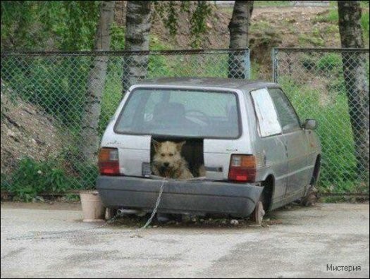 Автомобильные чудеса: удивительные разработки сумасшедших автомехаников Автомобильные чудеса: удивительные разработки сумасшедших автомехаников авто,автомобили,отдых,юмор