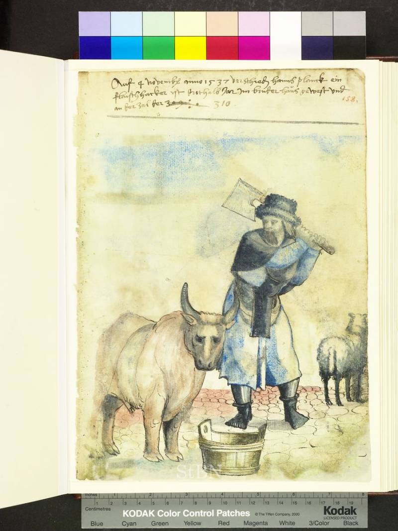 Мясное Средневековье: мясники-забойщики, торговцы мясом, птицеловы и рыбаки история
