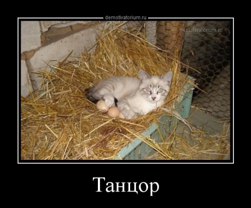 Свежая порция демотиваторов для хорошего настроения Свежая порция демотиваторов для хорошего настроения mir-interes.info