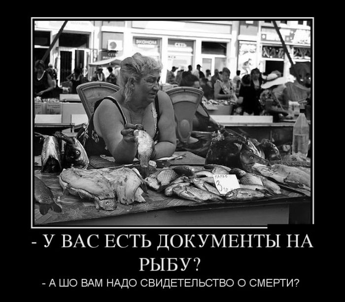 Демотиваторы