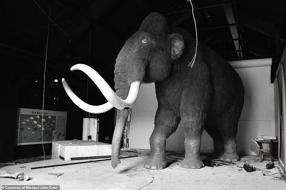 Постапокалипсис по-японски: что останется после нас Постапокалипсис по-японски: что останется после нас