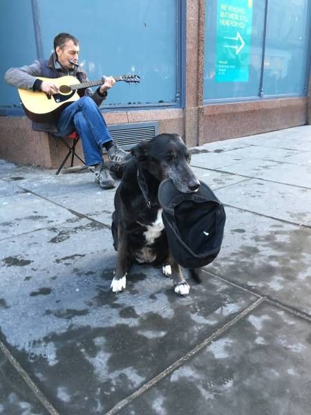 Подборка картинок. Вечерний выпуск (60 фото)