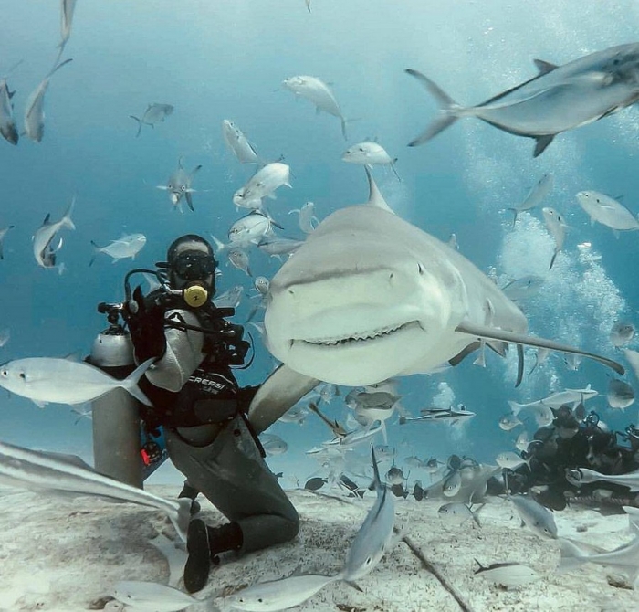 Фотоподборка 