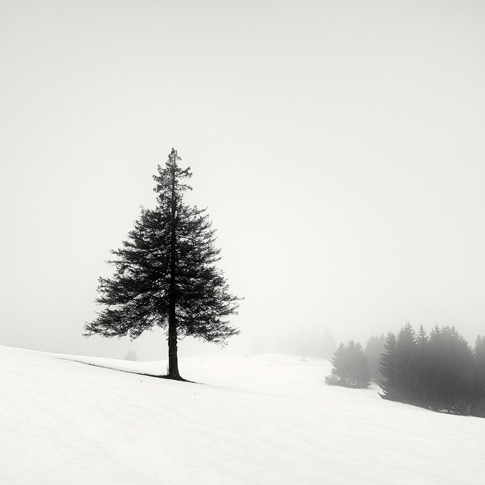 Cherno-belye-peyzazhnye-fotografii-Pera-Pellegrini 20