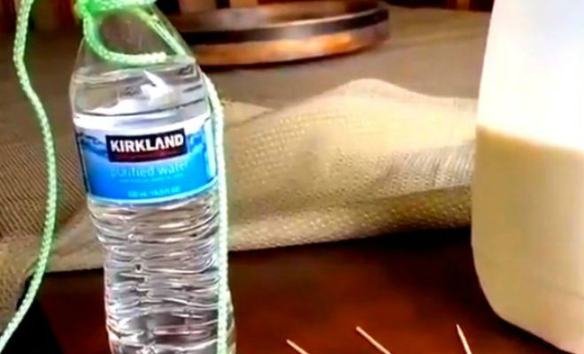 Бутылка с водой держится только на зубочистке: физика рычага в действии