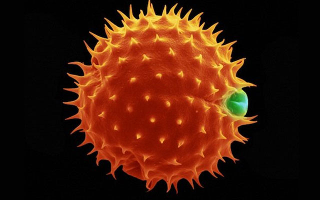Удивительные медицинские технологии будущего, которые уже изобретены