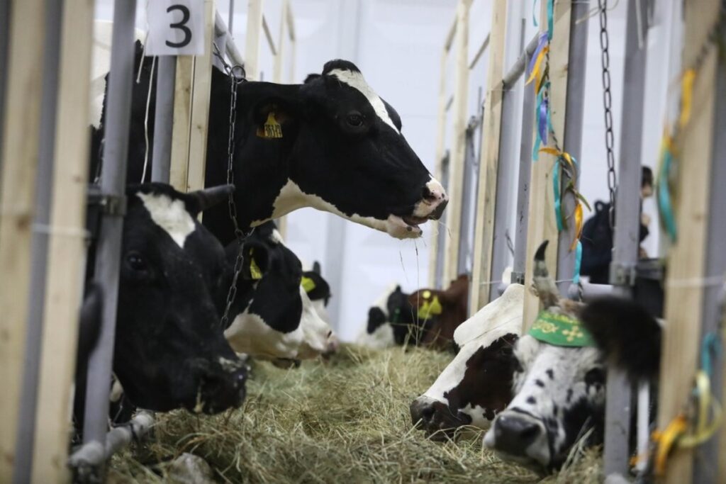 Российским аграриям выделят дополнительно более 60,5 млрд рублей