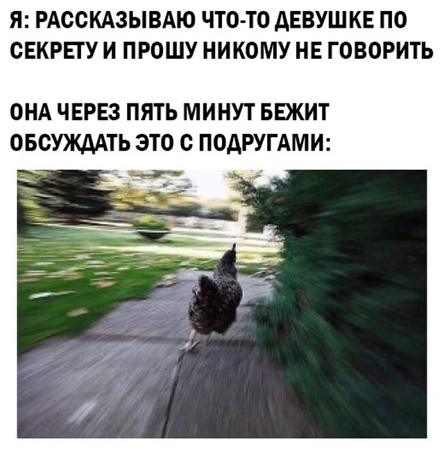 Подборка прикольных картинок  приколы,смешные картинки,юмор