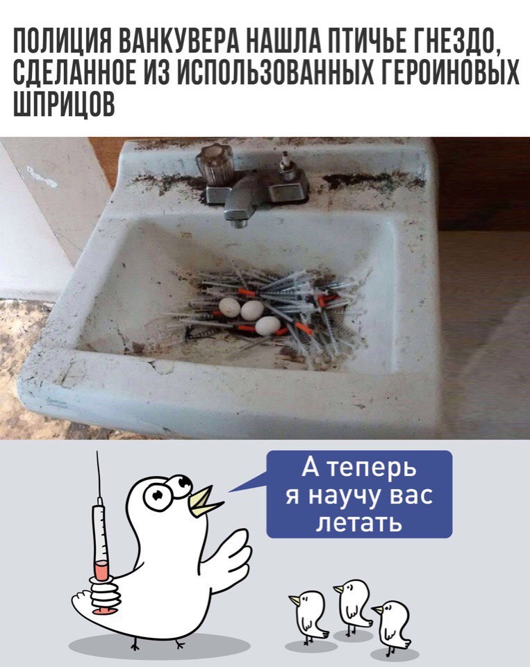 Смешные комментарии и высказывания из социальных сетей высказывания, комментарии, прикол