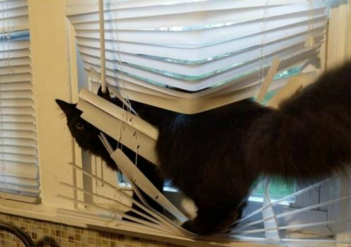 Наши дороги умеют засасывать... И другие забавные примеры застревания в текстурах Наши дороги умеют засасывать... И другие забавные примеры застревания в текстурах Отдых