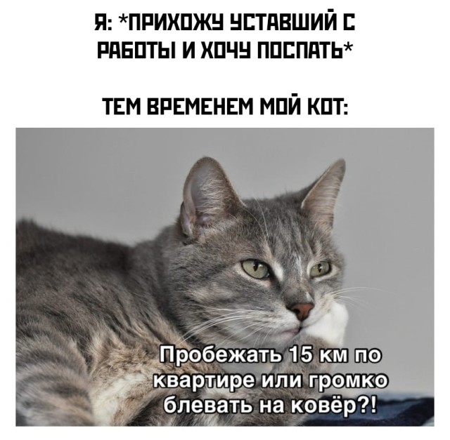 Подборка прикольных картинок  приколы,смешные картинки,юмор