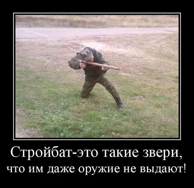 Зачетные, смешные и веселые демотиваторы на вечер позитивные демотиваторы