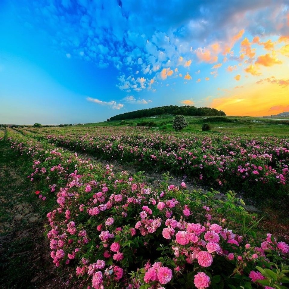 Подборка прикольных фотографий и забавных картинок из сети красивые фотографии,прикольные картинки,угарные фотки,шикарные фотографии
