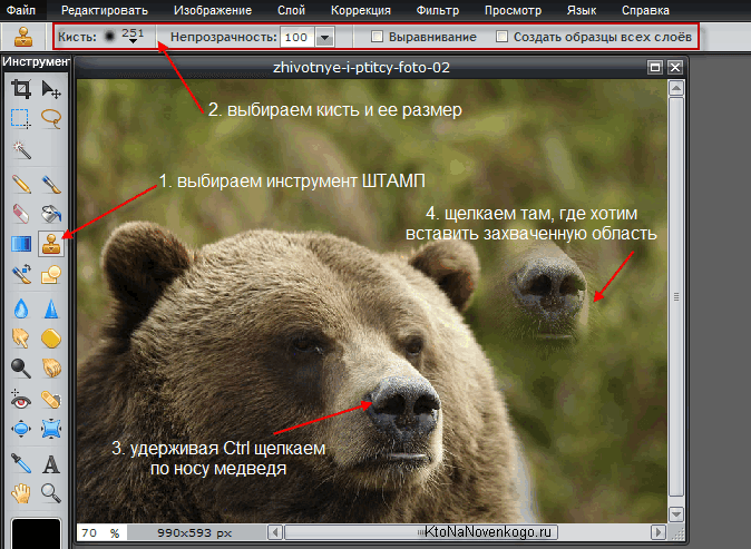 Инструмент Штамп в Pixlr Editor