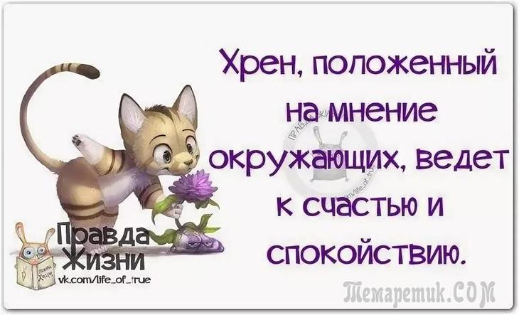 Серебром, очень смешные высказывания с картинками за волосы и в счастье