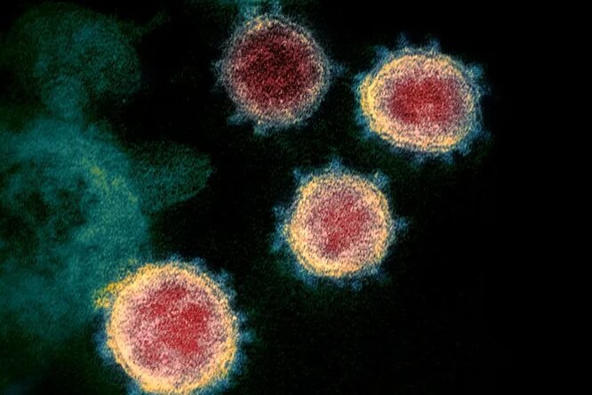 Китай разрабатывает мРНК-вакцину против COVID-19, но вспышка пандемии в стране продолжается