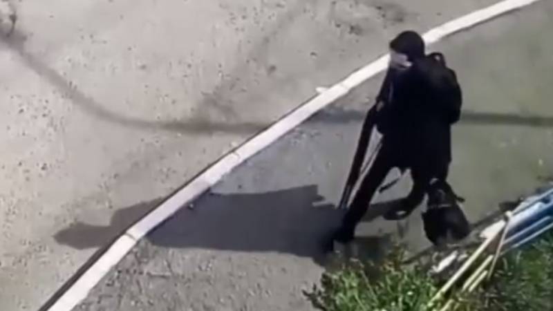 Тернии гражданского оружия в России Тернии гражданского оружия в России оружие