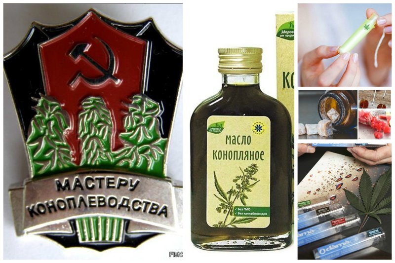 Посконно и сермяжно: о конопле и ее применении конопля техническая, медицина в США, пенька, продукты из конопли