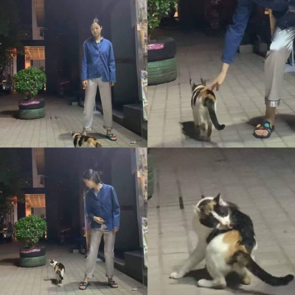 Подборка картинок. Вечерний выпуск Подборка картинок. Вечерний выпуск приколы,смешные картинки,юмор