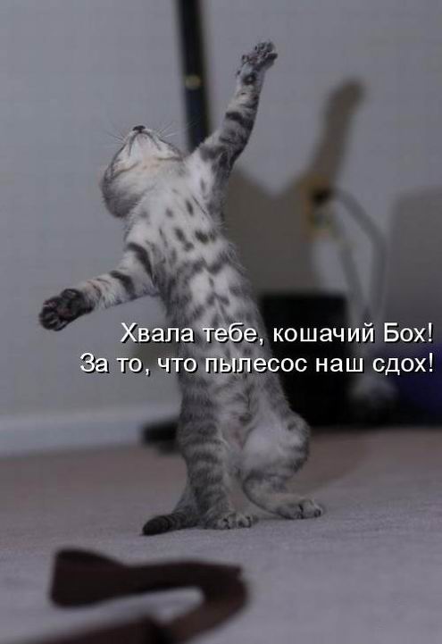Мысли вслух :)
