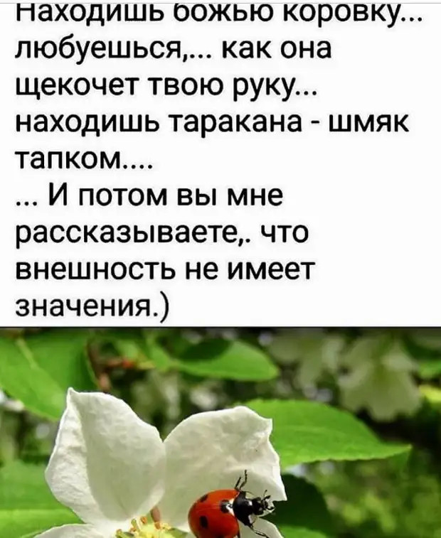 Женщина лучше чем телефон – если где-то и забудешь, сама потом домой придёт Женщина лучше чем телефон – если где-то и забудешь, сама потом домой придёт такси, Бутылку, мужик, спрашивает, водки, сейчас, домой, денег, клёвых, девчонок, чужими, выходит, сегодня, гостинице, русского, голубым, провинциального, городаВечером, спускается, портье